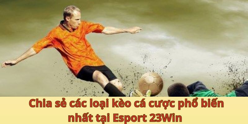 Chia sẻ các loại kèo cá cược phổ biến nhất tại Esport 23Win 