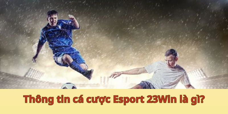 Thông tin cá cược Esport 23Win là gì?