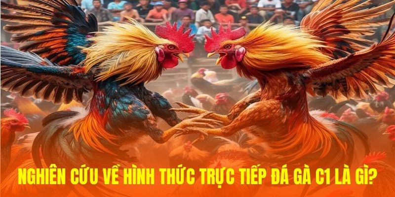 Nghiên cứu về hình thức Trực tiếp đá gà C1 là gì?