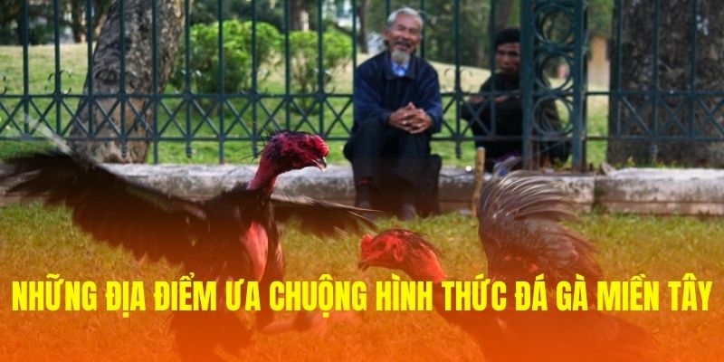 Những địa điểm ưa chuộng hình thức đá gà miền Tây