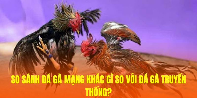 So sánh đá gà mạng khác gì so với đá gà truyền thống? 