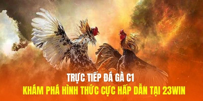 Trực Tiếp Đá Gà C1 - Khám Phá Hình Thức Cực Hấp Dẫn Tại 23WIN