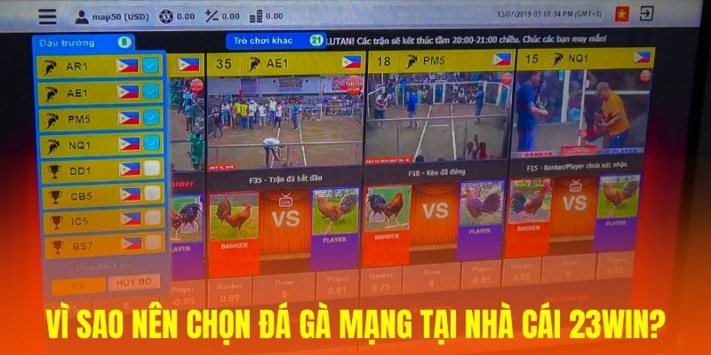 Vì sao nên chọn đá gà mạng tại nhà cái 23WIN?